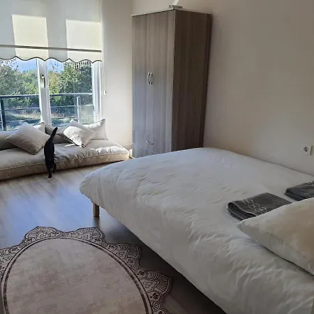 Captivating House With Pool Near Ski Center In Kartepe Near Sapanca *