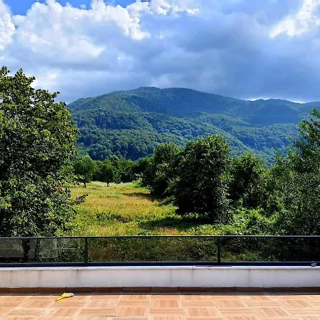 Captivating House With Pool Near Ski Center In Kartepe Near Sapanca Kocaeli
